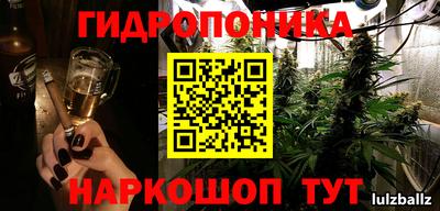 шишки Абинск