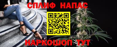 гидра Азнакаево