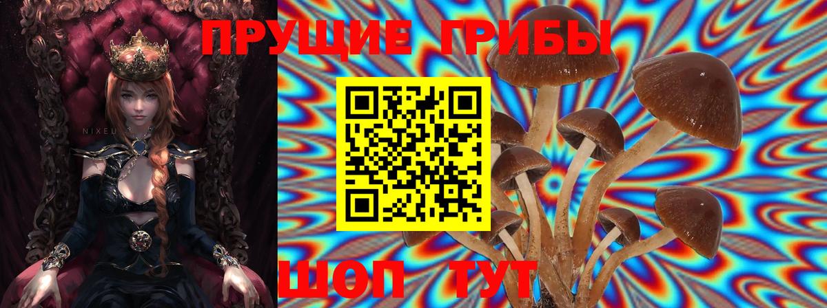 Алейск  Галлюциногенные грибы Magic Shrooms  Вход с VPN  Галлюциногенные грибы Psilocybine cubensis 